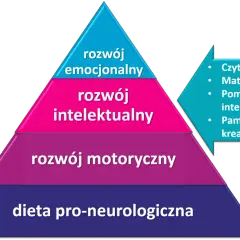 Piramida rozwoju: dieta, ruch, rozwój motoryczny, intelektualny i emocjonalny. Klucz do inteligencji i samooceny.