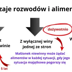 Rodzaje rozwodów i alimenty: ugodowy (do 5 lat, w niedostatku), z wyłącznej winy (dożywotnio lub w niedostatku), wina obu stron (do 5 lat, w niedostatku).