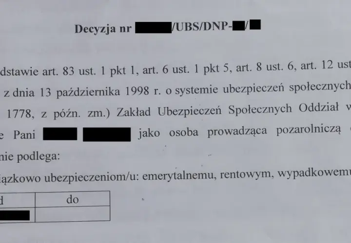 Decyzja ZUS o żłobkowym: Kiedy ją dostaniesz i co dalej?