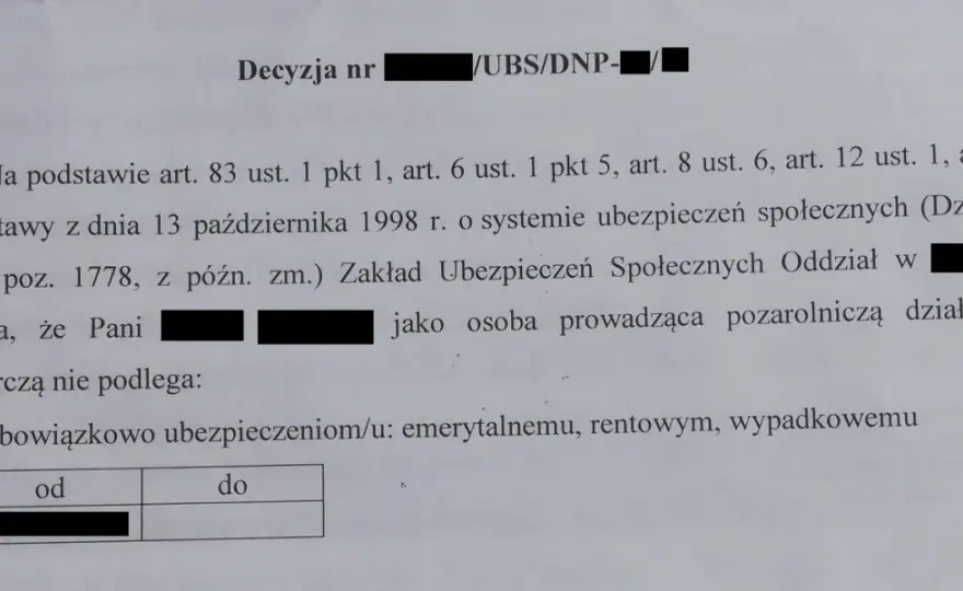 Decyzja ZUS o żłobkowym: Kiedy ją dostaniesz i co dalej?