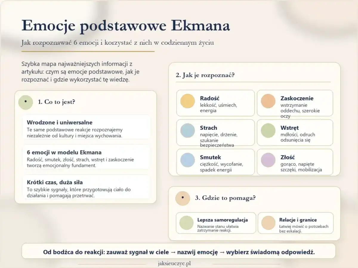 Emocje podstawowe u dziecka - co oznaczają i jak je nazywać
