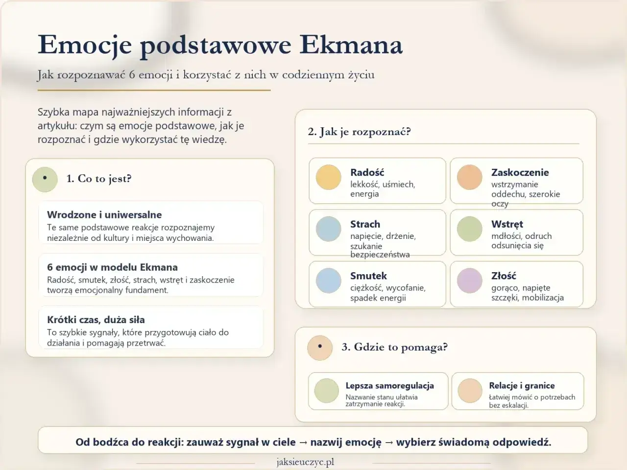 Mapa emocji podstawowych Ekmana: radość, smutek, złość, strach, wstręt, zaskoczenie. Rozpoznaj je i wykorzystaj w życiu.