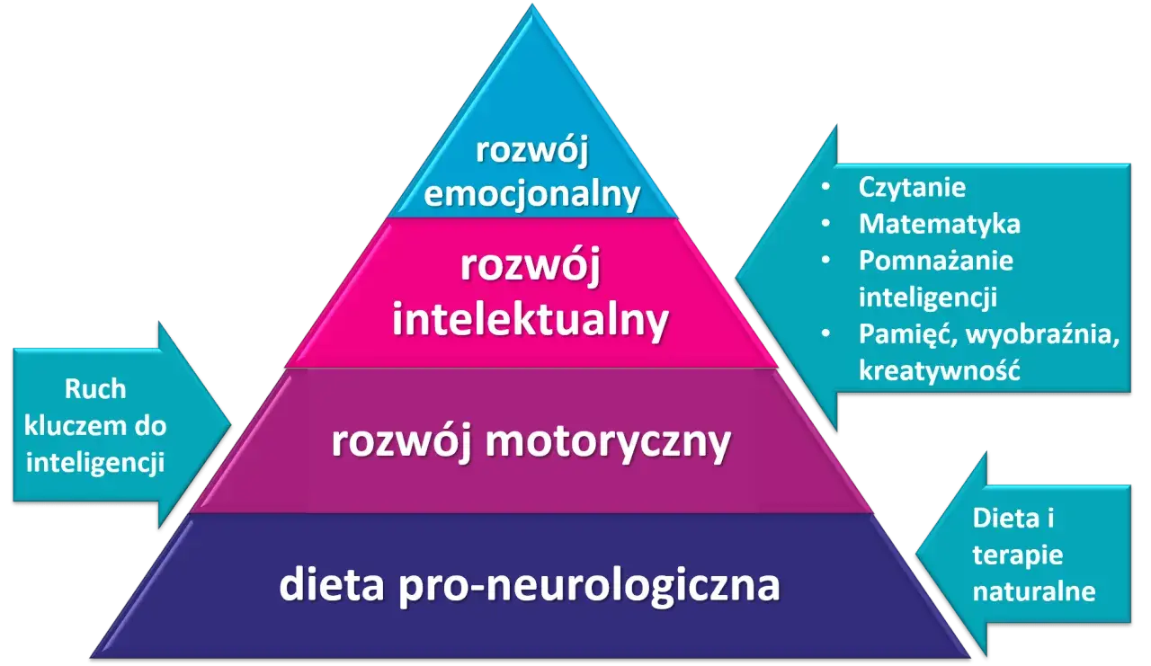 Piramida rozwoju: dieta, ruch, rozwój motoryczny, intelektualny i emocjonalny. Klucz do inteligencji i samooceny.